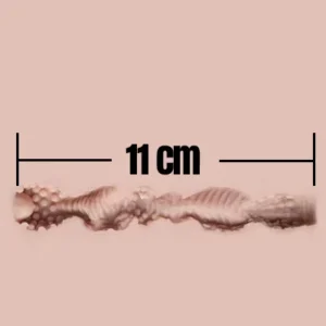 11cm
