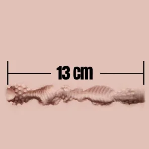 13cm