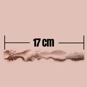 17cm