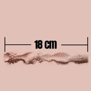 18cm
