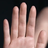 Articulated Fingers